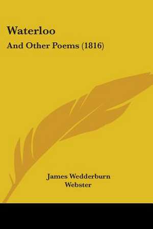 Waterloo de James Wedderburn Webster