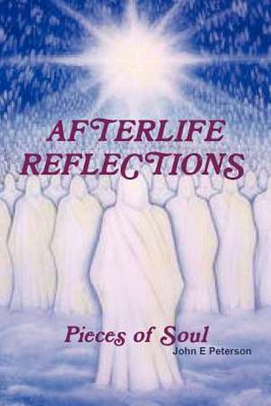 Afterlife Reflections de John Peterson