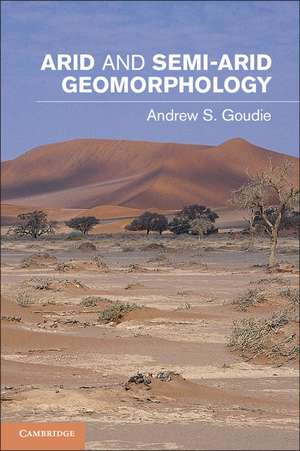 Arid and Semi-Arid Geomorphology de Andrew S. Goudie