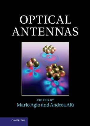 Optical Antennas de Mario Agio