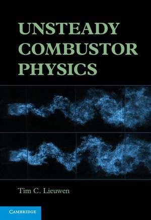 Unsteady Combustor Physics de Tim C. Lieuwen