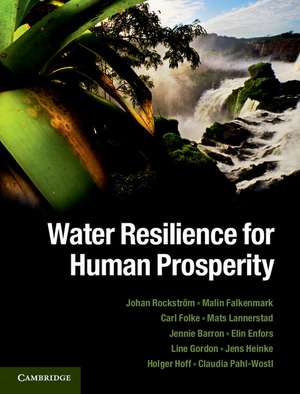 Water Resilience for Human Prosperity de Johan Rockström