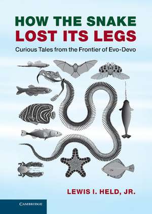 How the Snake Lost its Legs: Curious Tales from the Frontier of Evo-Devo de Lewis I. Held, Jr