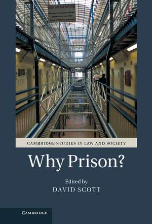 Why Prison? de David Scott