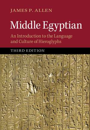 Middle Egyptian: An Introduction to the Language and Culture of Hieroglyphs de James P. Allen