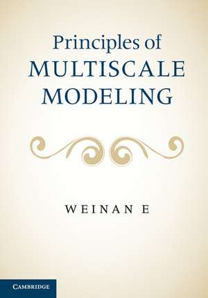 Principles of Multiscale Modeling de Weinan E