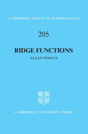 Ridge Functions de Allan Pinkus