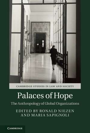 Palaces of Hope: The Anthropology of Global Organizations de Ronald Niezen