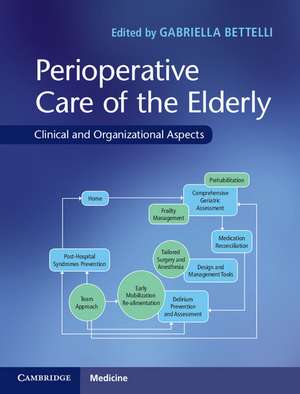 Perioperative Care of the Elderly: Clinical and Organizational Aspects de Gabriella Bettelli