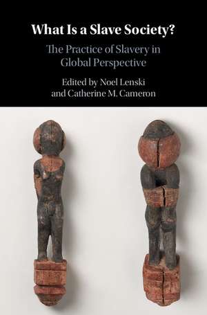 What Is a Slave Society?: The Practice of Slavery in Global Perspective de Noel Lenski