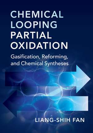 Chemical Looping Partial Oxidation: Gasification, Reforming, and Chemical Syntheses de Liang-Shih Fan