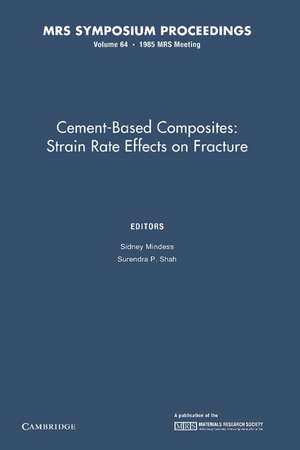 Cement-Based Composites de Sidney Mindess
