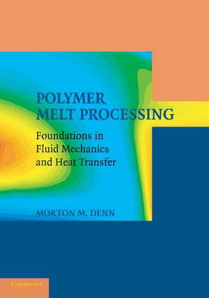 Polymer Melt Processing: Foundations in Fluid Mechanics and Heat Transfer de Morton M. Denn