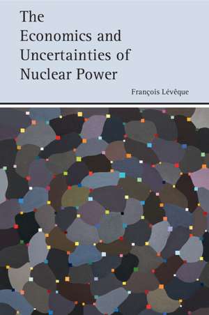 The Economics and Uncertainties of Nuclear Power de François Lévêque