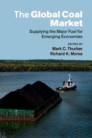 The Global Coal Market: Supplying the Major Fuel for Emerging Economies de Mark C. Thurber