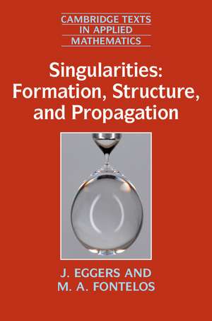 Singularities: Formation, Structure, and Propagation de J. Eggers