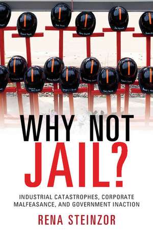 Why Not Jail?: Industrial Catastrophes, Corporate Malfeasance, and Government Inaction de Rena Steinzor