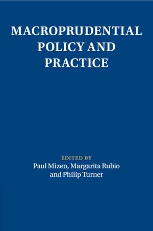 Macroprudential Policy and Practice de Paul Mizen