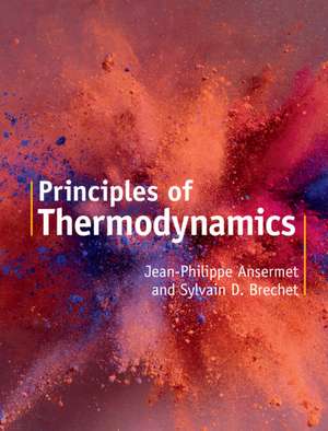 Principles of Thermodynamics de Jean-Philippe Ansermet