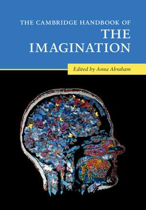 The Cambridge Handbook of the Imagination de Anna Abraham