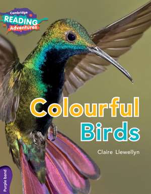 Cambridge Reading Adventures Colourful Birds Purple Band de Claire Llewellyn