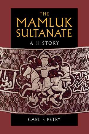 The Mamluk Sultanate: A History de Carl F. Petry