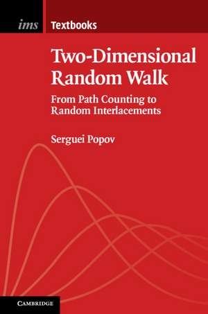 Two-Dimensional Random Walk: From Path Counting to Random Interlacements de Serguei Popov