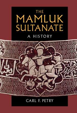 The Mamluk Sultanate de Carl F. Petry