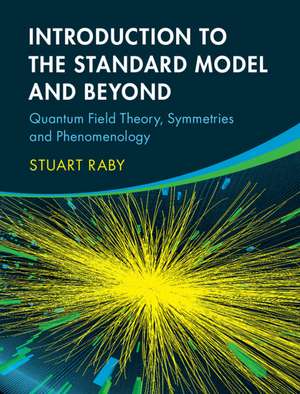 Introduction to the Standard Model and Beyond: Quantum Field Theory, Symmetries and Phenomenology de Stuart Raby