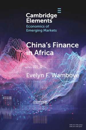 China's Finance in Africa: What and How Much? de Evelyn F. Wamboye