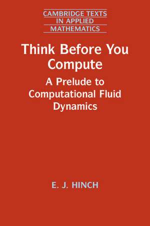 Think Before You Compute: A Prelude to Computational Fluid Dynamics de E. J. Hinch