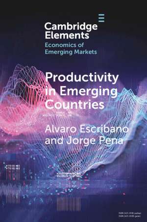 Productivity in Emerging Countries: Methodology and Firm-Level Analysis based on International Enterprise Business Surveys de Alvaro Escribano