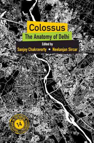 Colossus: The Anatomy of Delhi de Sanjoy Chakravorty