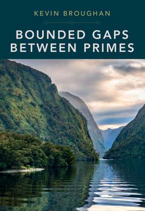 Bounded Gaps Between Primes: The Epic Breakthroughs of the Early Twenty-First Century de Kevin Broughan