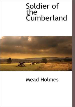 Soldier of the Cumberland de Mead Holmes