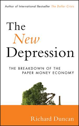 The New Depression: The Breakdown of the Paper Money Economy de Richard Duncan