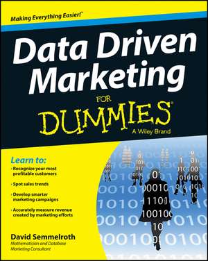 Data Driven Marketing For Dummies de David Semmelroth