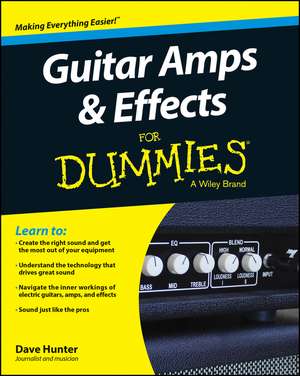 Guitar Amps & Effects For Dummies de DC Hunter