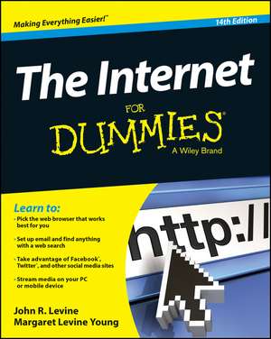 The Internet for Dummies de John R Levine