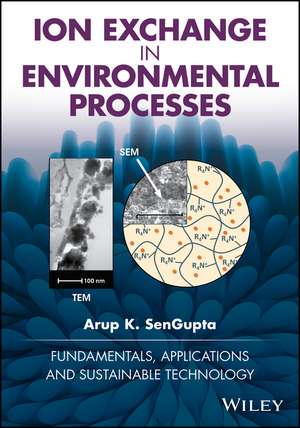 Ion Exchange in Environmental Processes – Fundamentals, Applications and Sustainable Technology de AK SenGupta