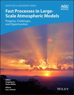 Fast Processes in Large–Scale Atmospheric Models – Progress, Challenges, and Opportunities de Y Liu