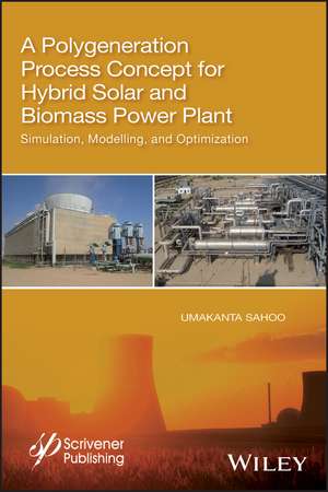 Polygeneration Process Plant de Sahoo