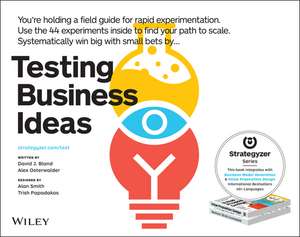 Testing Business Ideas – A Field Guide for Rapid Experimentation de DJ Bland