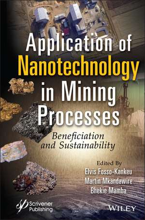 Application of Nanotechnology in Mining Processes – Beneficiation and Sustainability de Fosso–Kankeu