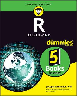 R All–in–One For Dummies de J Schmuller