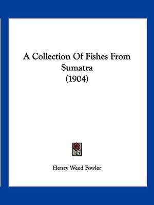 A Collection Of Fishes From Sumatra (1904) de Henry Weed Fowler