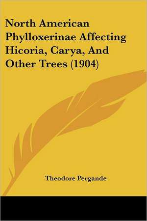 North American Phylloxerinae Affecting Hicoria, Carya, And Other Trees (1904) de Theodore Pergande