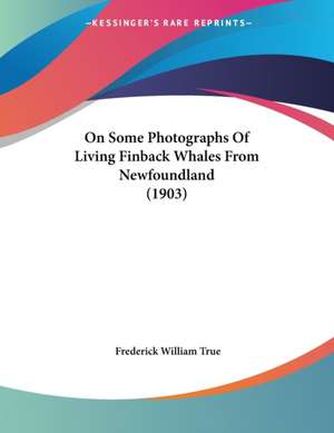 On Some Photographs Of Living Finback Whales From Newfoundland (1903) de Frederick William True