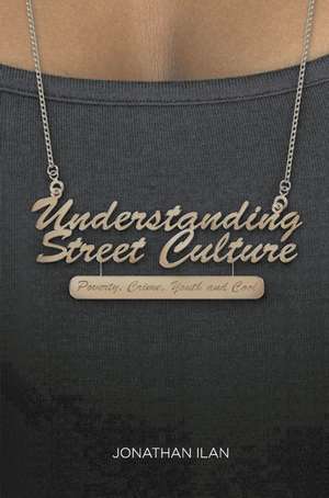 Understanding Street Culture: Poverty, Crime, Youth and Cool de Jonathan Ilan