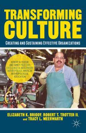 Transforming Culture: Creating and Sustaining a Better Manufacturing Organization de E. Briody